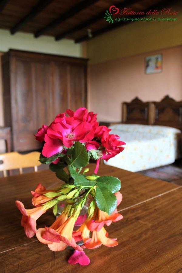 Willa Fattoria Delle Rose Salussola Pokój zdjęcie